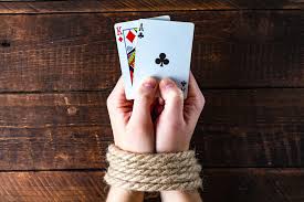 Вход на официальный сайт Casino Wilder